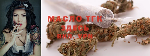 спиды Богородск