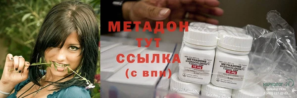 спиды Богданович