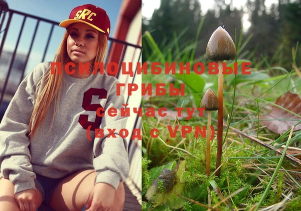 прущая мука Белокуриха